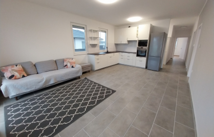 Kiadó nappali +4 szobás új építésű ház Kecskeméten